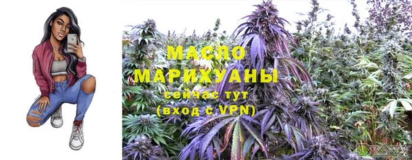 ешки Вяземский