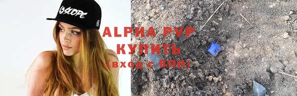 стаф Горняк