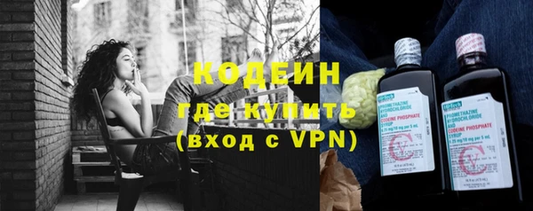 ешки Вяземский